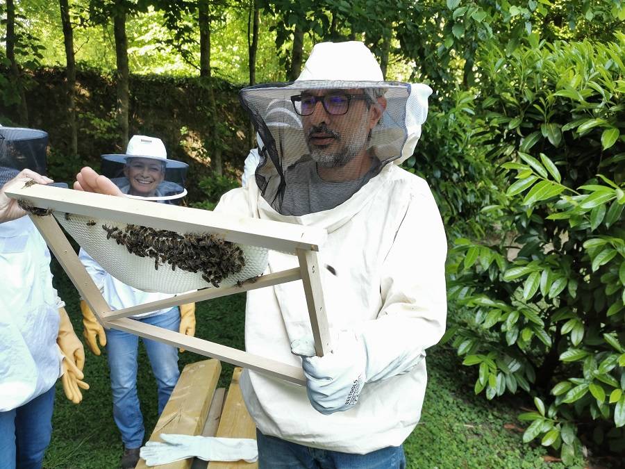 Lire la suite à propos de l’article CONNAISSEZ VOUS LE YOGA DES ABEILLES