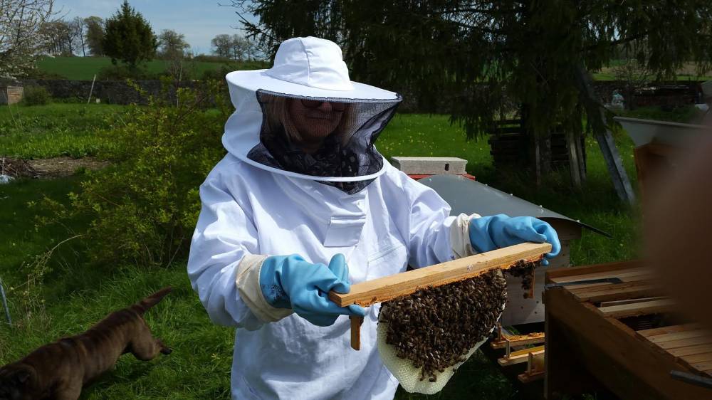 Lire la suite à propos de l’article MES RUCHES ÉCOLOGIQUES ET TRADITIONNELLES