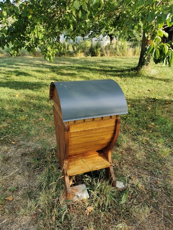 Lire la suite à propos de l’article Que va-t-il se passer dans la ruche au mois de Août?
