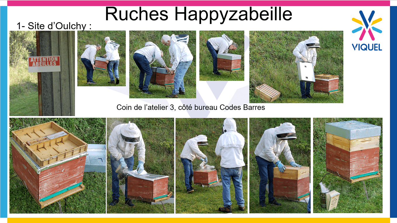 Lire la suite à propos de l’article Happyzabeille, implante trois ruches sur les sites de l’entreprise VIQUEL dans l’Aisne