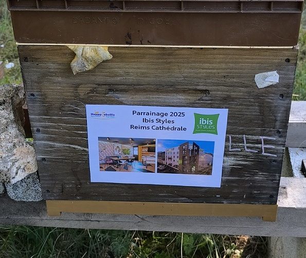 Lire la suite à propos de l’article Parrainage 2025 ruche de l’hôtel ibis Styles Reims Centre Cathédrale
