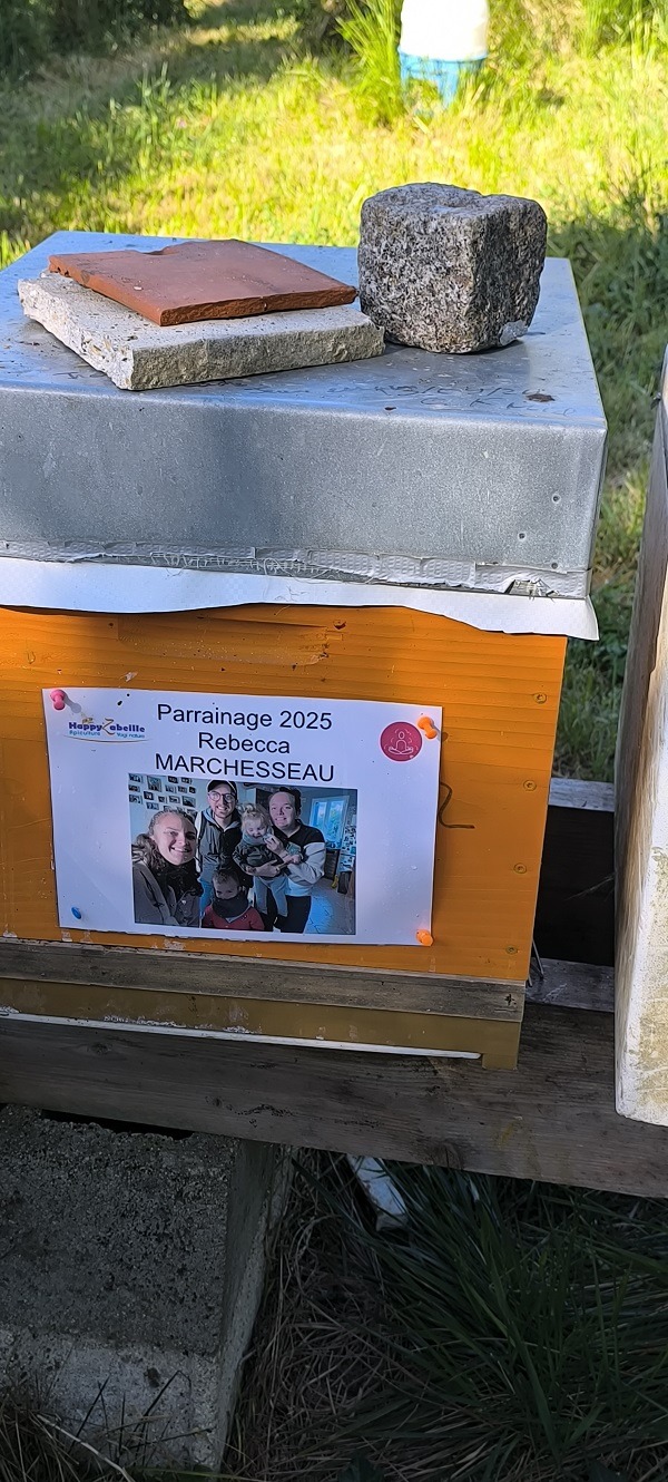 Lire la suite à propos de l’article La ruche de Rebecca
