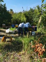 Travail des stagiaires dans le rucher