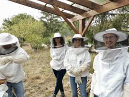 les-apiculteurs-journee-decouverte_257