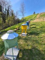 les-ruches-eustaches_291